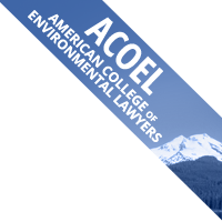 ACOEL Badge